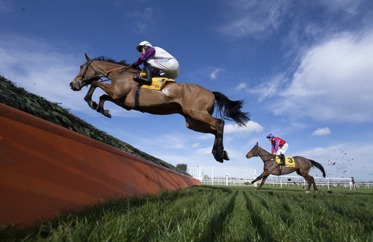 Paul Nicholls-trained Bravemansgame in action
